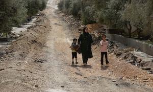Una mujer y dos niños caminan cerca de la ciudad de Yenín, en Cisjordania (archivo).