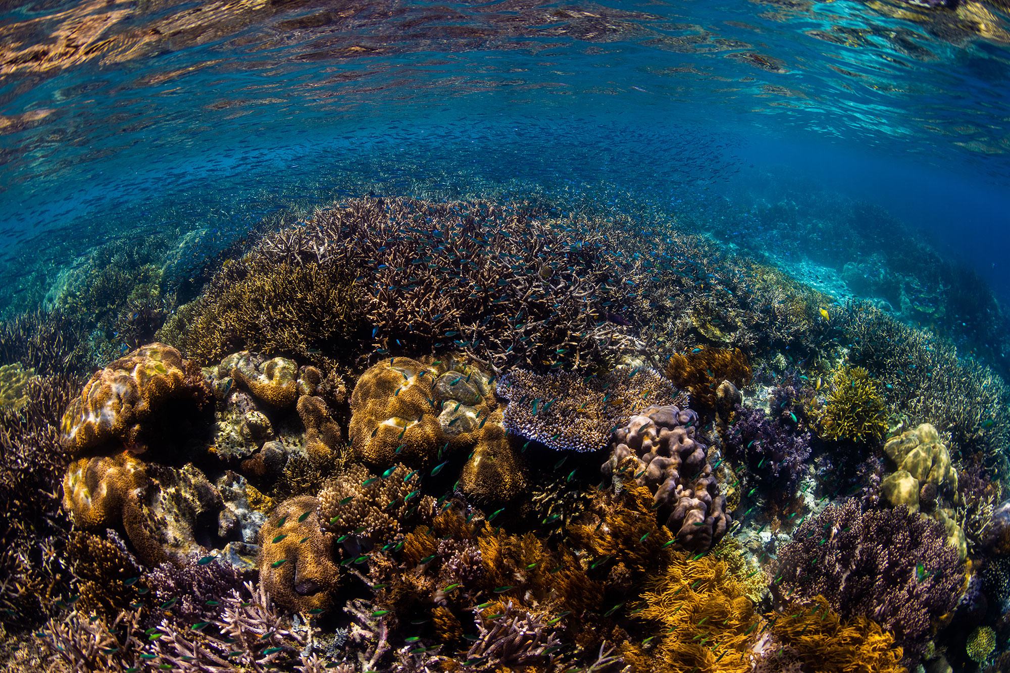 【前方视野】不属于任何国家的公海，终于迎来了守护者