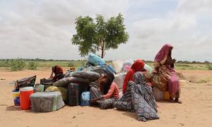 A mother and her four daughters arrive in Chad from Sudan.