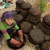En una aldea rural, una niña afgana con guantes de goma prepara tortas con estiércol de ganado y paja para usarlas como combustible.