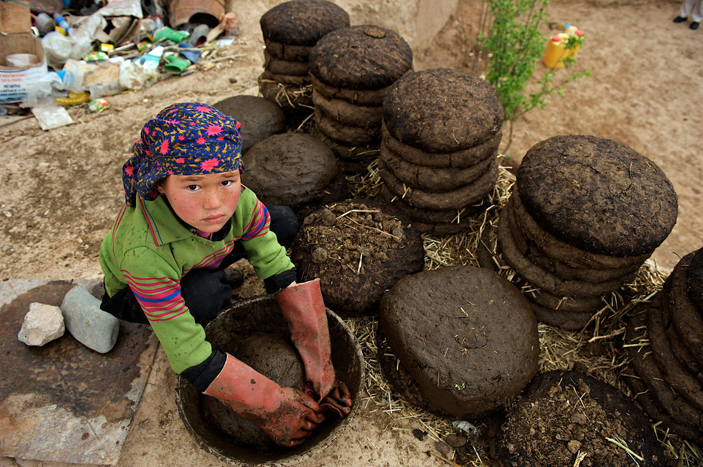 Una niña de once años hace montones de pasteles con estiércol de ganado y paja frente a su casa en la provincia central de Bamyan, Afganistán.