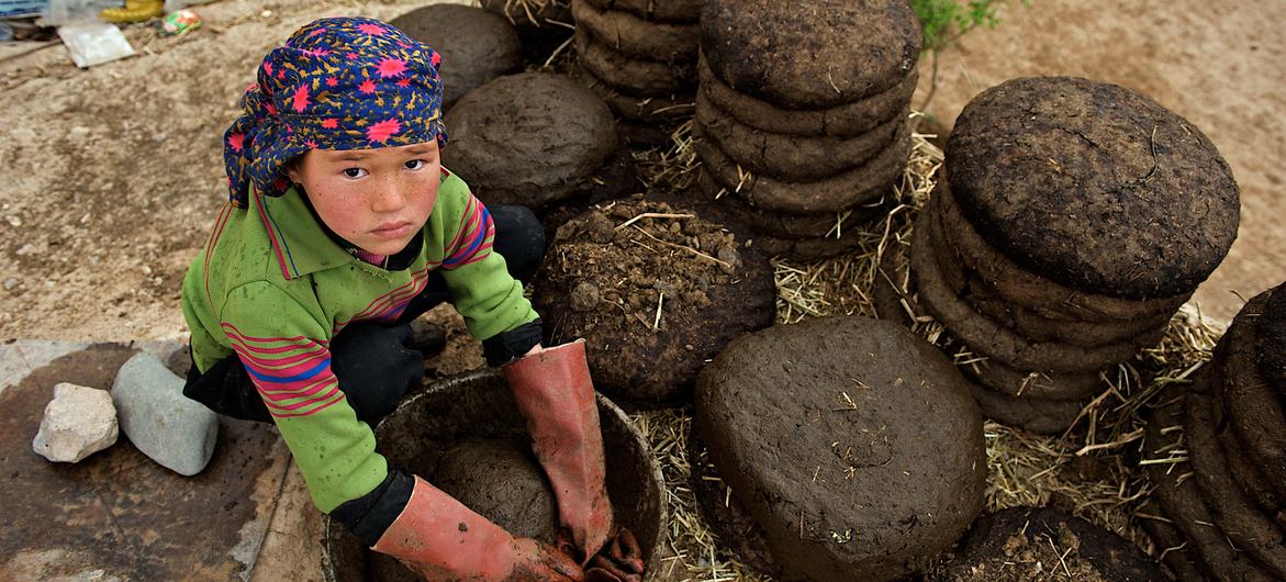 Uma menina de onze anos faz montes com estrume de gado e palha à porta de sua casa, na província central de Bamyan, no Afeganistão. Uma menina de onze anos faz montes com estrume de gado e palha à porta de sua casa, na província central de Bamyan, no Afeganistão.
