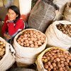 一名妇女在秘鲁的安达瓦亚拉斯食品市场卖土豆。