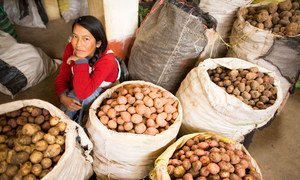 A woman sells potatoes in the Andahuaylas food market in Peru.
