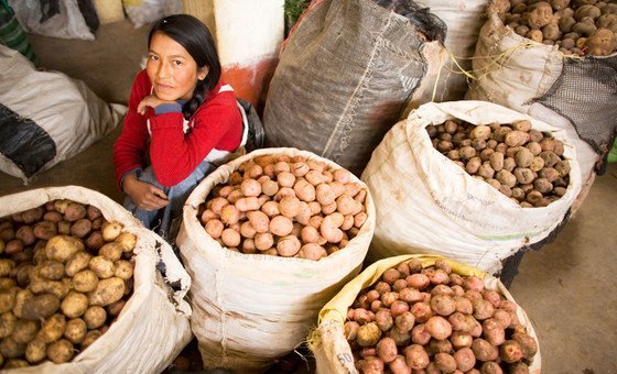 A woman sells potatoes in the Andahuaylas food market in Peru.