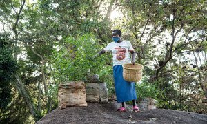 Une agricultrice du Kenya expérimente de nouvelles semences qui aident à améliorer la biodiversité.