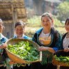 越南老街省的农村女孩在展示他们收获的芥菜叶。