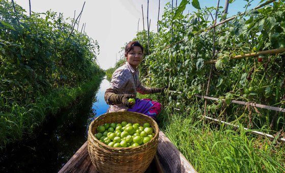World losing ground in ‘war on nature’ as progress on biodiversity targets lags