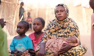 A displaced family settles in Tawila after fleeing fighting in Al Fasher, North Darfur. (time)