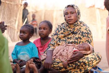 A displaced family settles in Tawila after fleeing fighting in El Fasher, North Darfur.