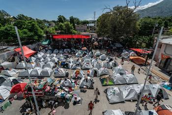 Some 200,000 Haitians, mainly in Port-au-Prince (pictured) have been forced by insecurity to flee to temporary locations.