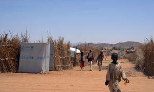 Displaced from El Fasher, an 11-year-old child makes their way through a settlement for displaced persons in Tawila, North Darfur.