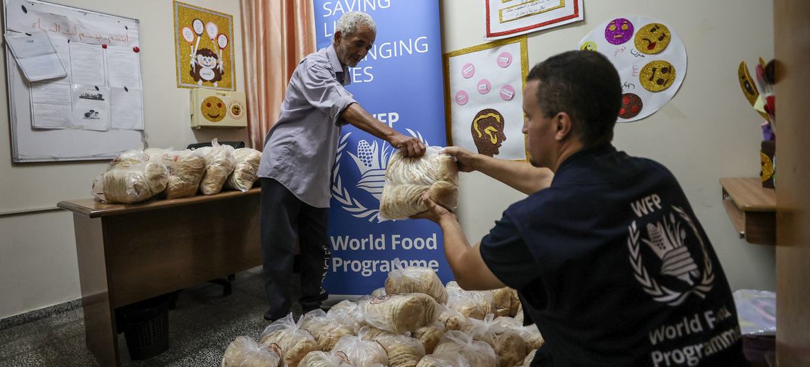 The World Food Programme distributes bread in a school in Gaza, which is now being used as a shelter.