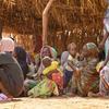Families displaced from El Fasher, the capital of North Darfur, seek refuge in Tawila.