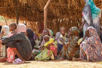 Families displaced from El Fasher, the capital of North Darfur, seek refuge in Tawila.