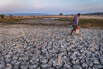 Um homem atravessa terras agrícolas secas na província de East Nusa Tenggara, Indonésia.