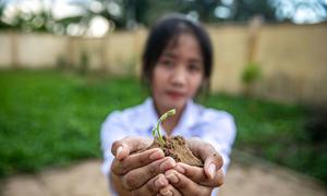 A student in Viet Nam presents a seedling.