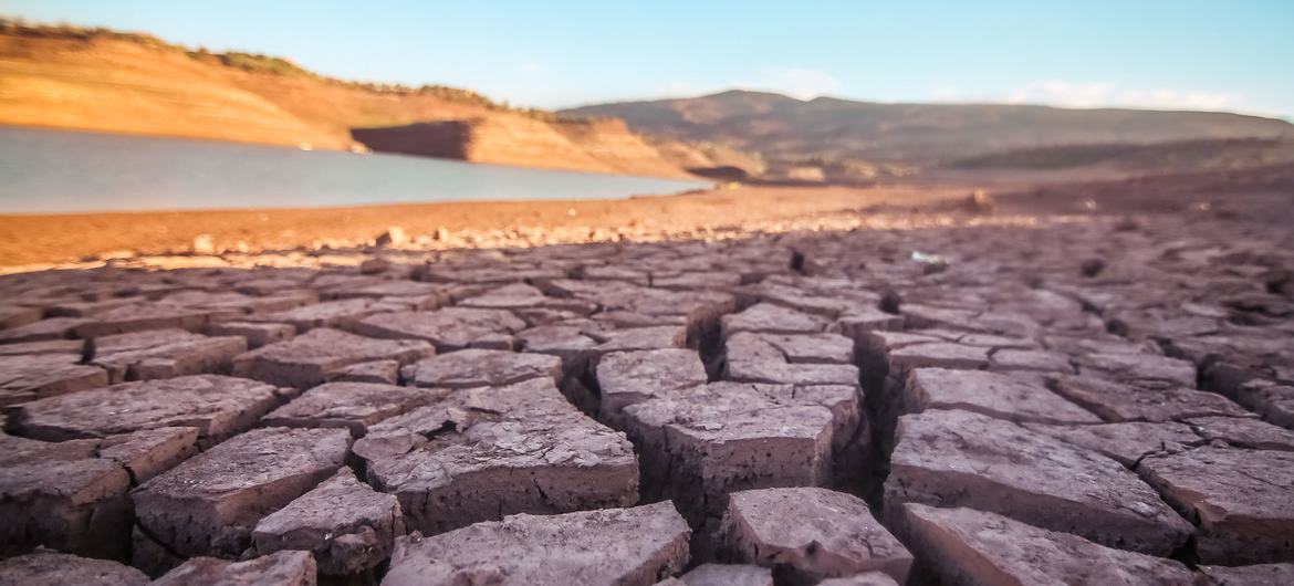 Изменение климата способствует возникновению засухи по всему миру.