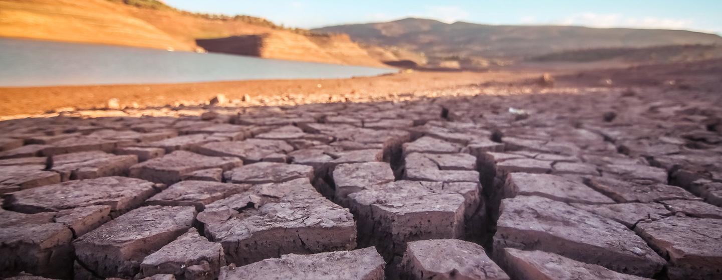 Climate change is contributing to drought conditions across the world.