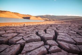 موسمیاتی تبدیلی دنیا بھر میں خشک سالی اور سیلابوں جیسی شدید موسمی کیفیات کا سبب بن رہی ہے۔