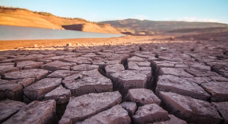 As alterações climáticas estão contribuindo para condições de seca em todo o mundo
