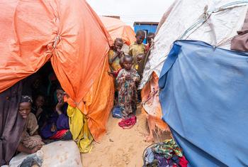 2023年初，大约280个家庭逃往索马里东南部丹尼勒的一个流离失所者营地。