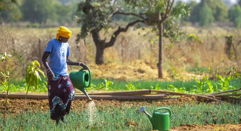 Фермер орошает землю в Буркина-Фасо. 