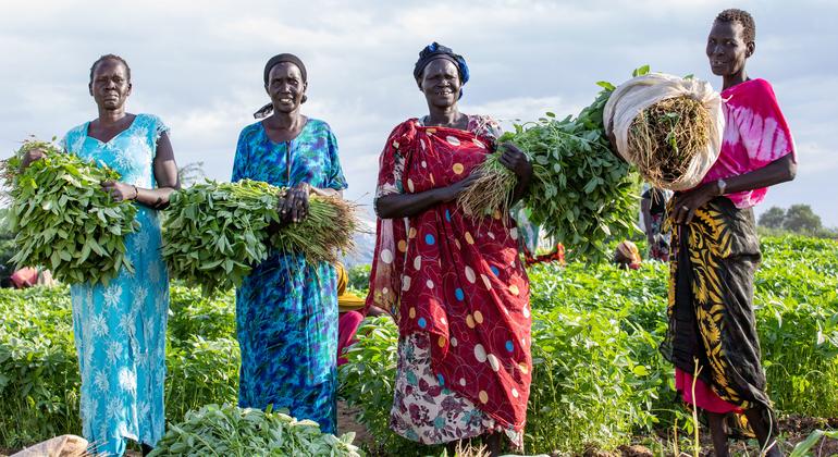 South Sudanese refugees living in Kenya's Kakuma camp buy produce to sell from a farm run by both Kenyans and refugees.