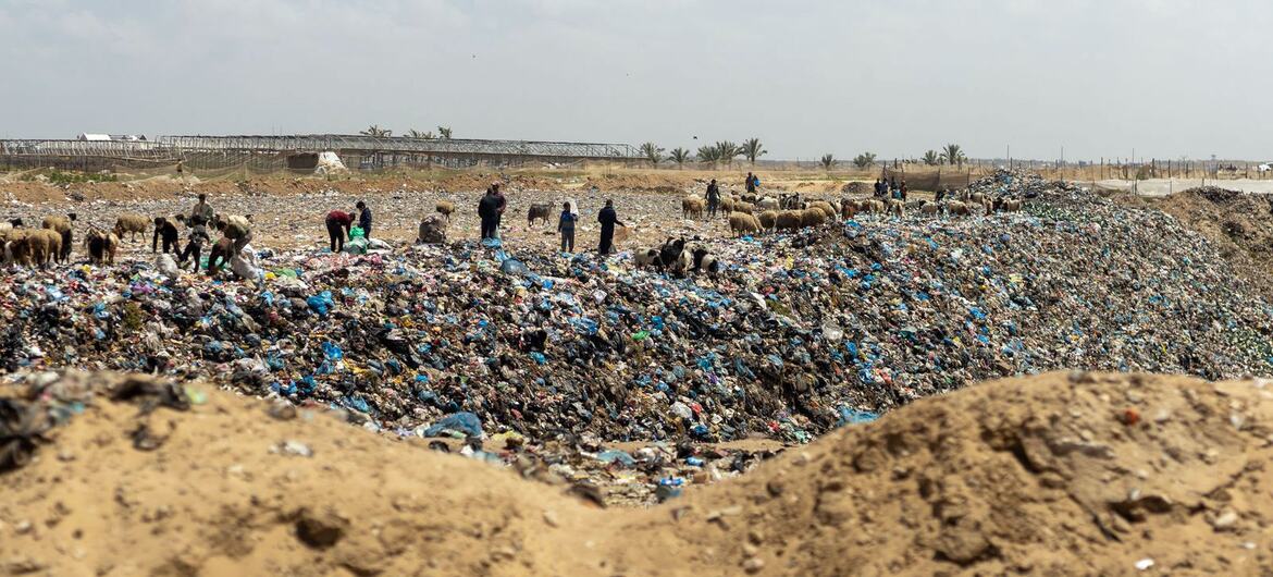 A wide shot of a vast landfill in Gaza where displaced Palestinians and their sheep are scavenging through massive piles of garbage under a bright sky, illustrating the severe sanitation and health crisis.