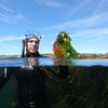 Vincent Doumeizel, a senior adviser to the UN Global Compact, has become one of the faces of the so-called “seaweed revolution.”