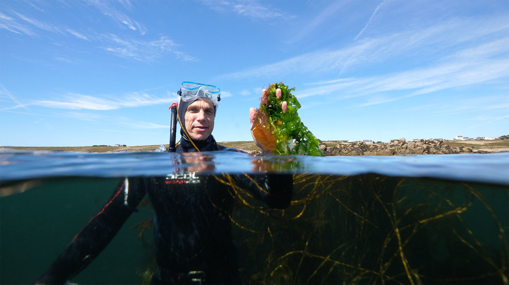 Vincent Doumeizel, a senior adviser to the UN Global Compact, has become one of the faces of the so-called “seaweed revolution.”
