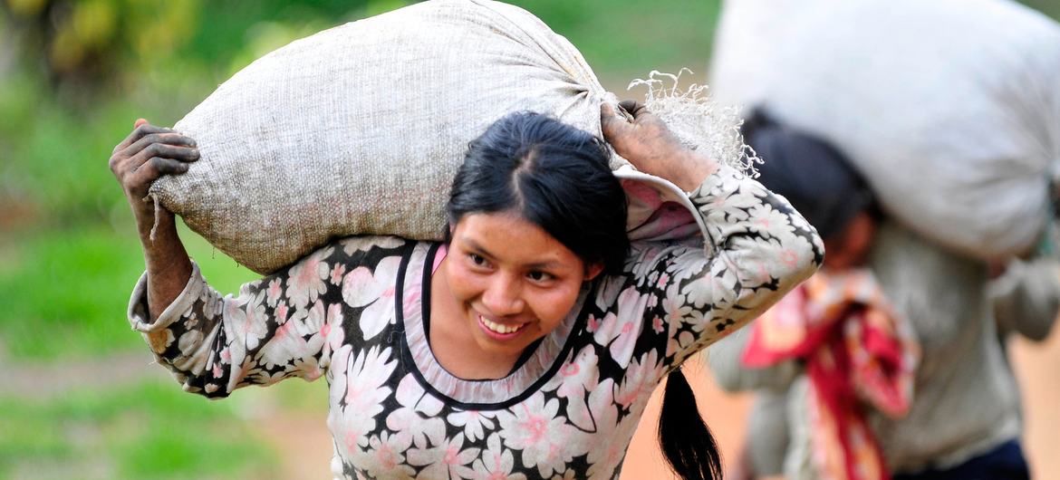 Colombia: Pockets of insecurity challenge ‘vibrant democracy’, Security Council told