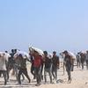 Men collect food from an aid distribution point in Gaza.