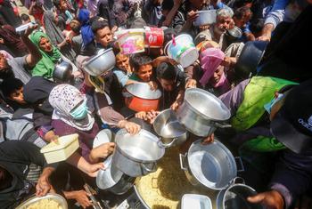 People clamour for food in Gaza.