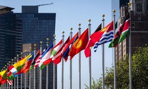 National flags fly outside UN Headquarters in New York.