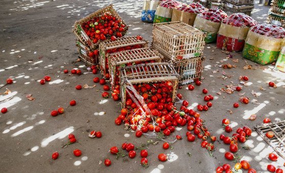 Сокращение пищевых отходов вдвое могло бы спасти от голода 137 миллионов человек, подчеркивают в ФАО.