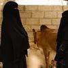 People in Yemen displaced by conflict struggle to find enough to eat.