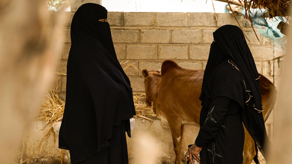 People in Yemen displaced by conflict struggle to find enough to eat.