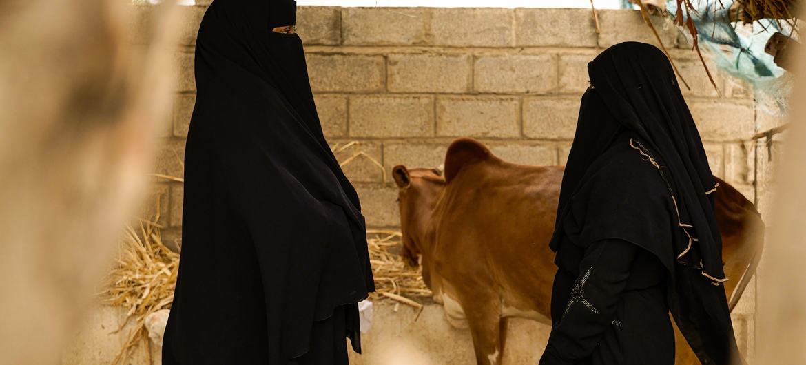 People in Yemen displaced by conflict struggle to find enough to eat.