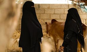 People in Yemen displaced by conflict struggle to find enough to eat.