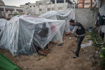 A Gaza, le correspondant de télévision Mustafa Al-Bayed a construit la tente en plastique qui sert d'abri à sa famille après qu'elle a été forcée de fuir son domicile.