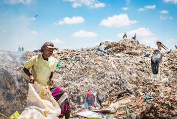 There are hundreds of landfill dumpsites spread across Kenya with the largest being Dandora dumpsite in Nairobi.