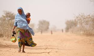 Millions of people in the Sahel region of Africa are facing food insecurity caused by consecutive failed rainy seasons, desertification, and a fragile security landscape.