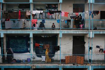 Schools in Gaza have been turned into shelters for people affected by the conflict. Schools in Gaza have been turned into shelters for people affected by the conflict.