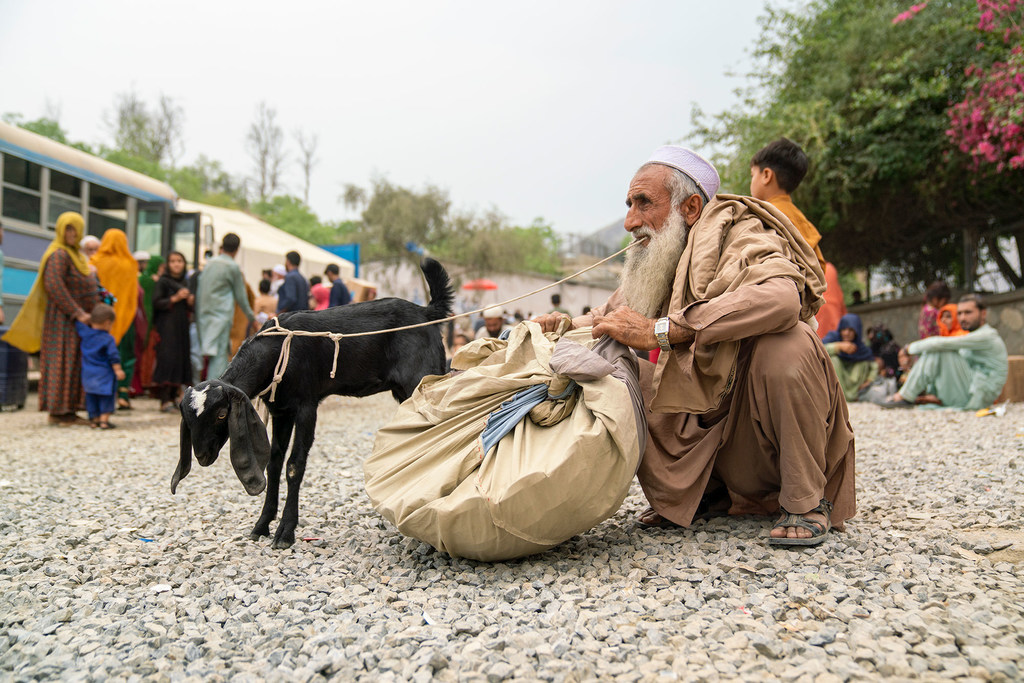 پاکستان کی سرحد پر سفید داڑھی والا ایک بوڑھا افغان شخص اور اس کی پیٹھ پر ایک چھوٹا بچہ، ایک بڑی بوری اور ایک سیاہ بکرے کے ساتھ رسی جڑی ہوئی ہے۔