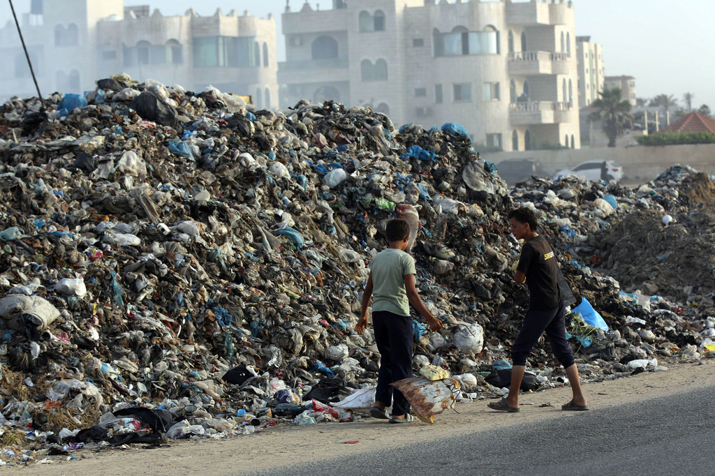 Les déchets non ramassés à Gaza facilitent la prolifération des rats.
