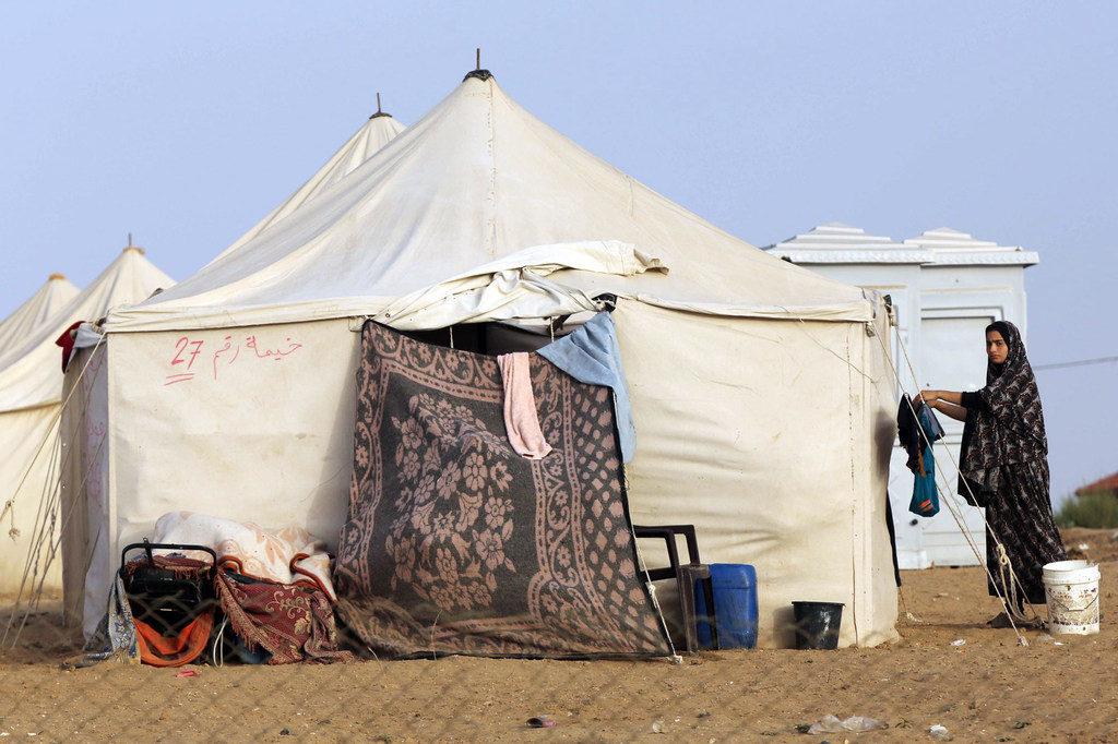 media:entermedia_image:5ff89fcc-565a-425d-9a2b-5c2a3a848806