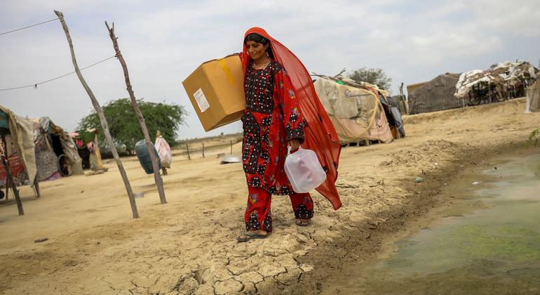 Gender equality: UN Women calls for political will and accelerated global action