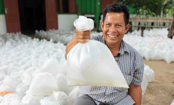 A husbandman  successful  Lao holds up   a container  of caller  food  that helium  has cultivated successful  his atom   field.