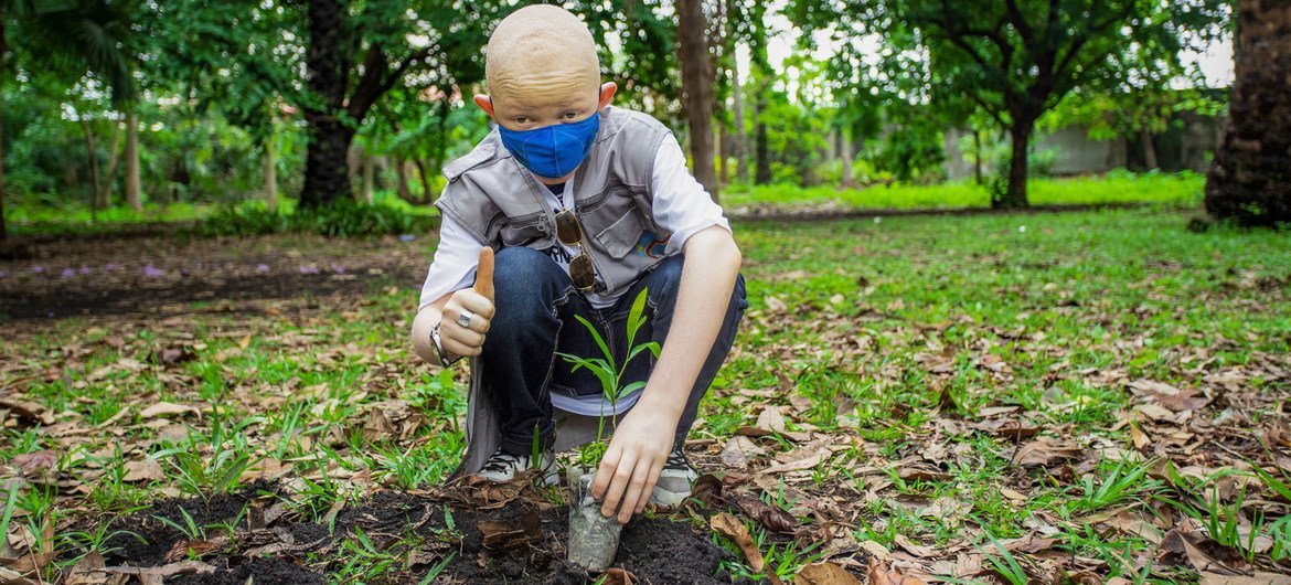 En la República Democrática del Congo se plantan árboles para ayudar a mitigar el cambio climático.